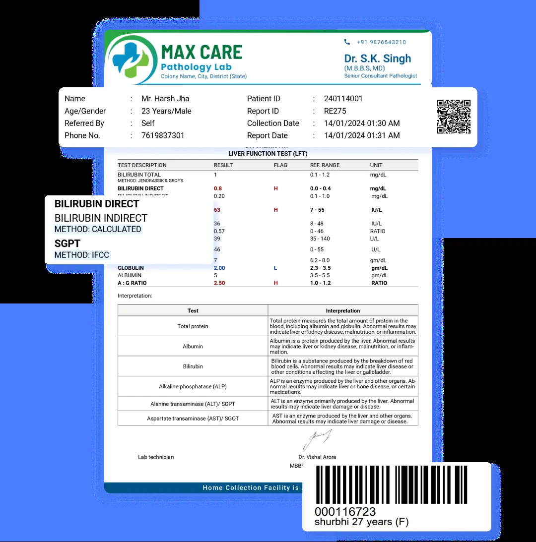 Professional diagnostic report generation.